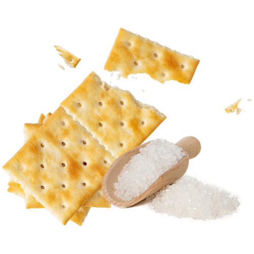 Salt Soda Crackers