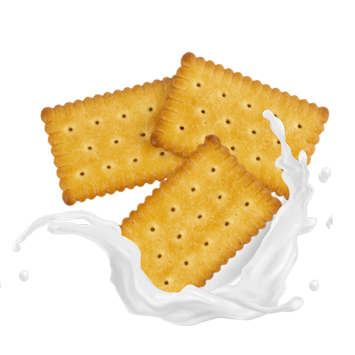 Milk Flavor Milk Biscuits